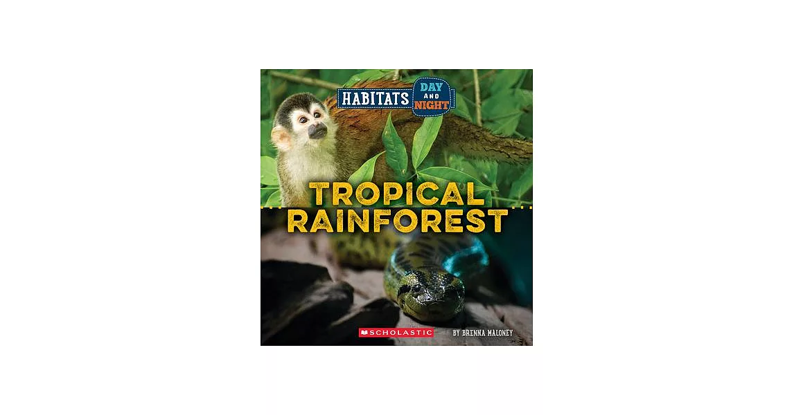 Rainforest (Wild World: Habitats Day and Night) | 拾書所