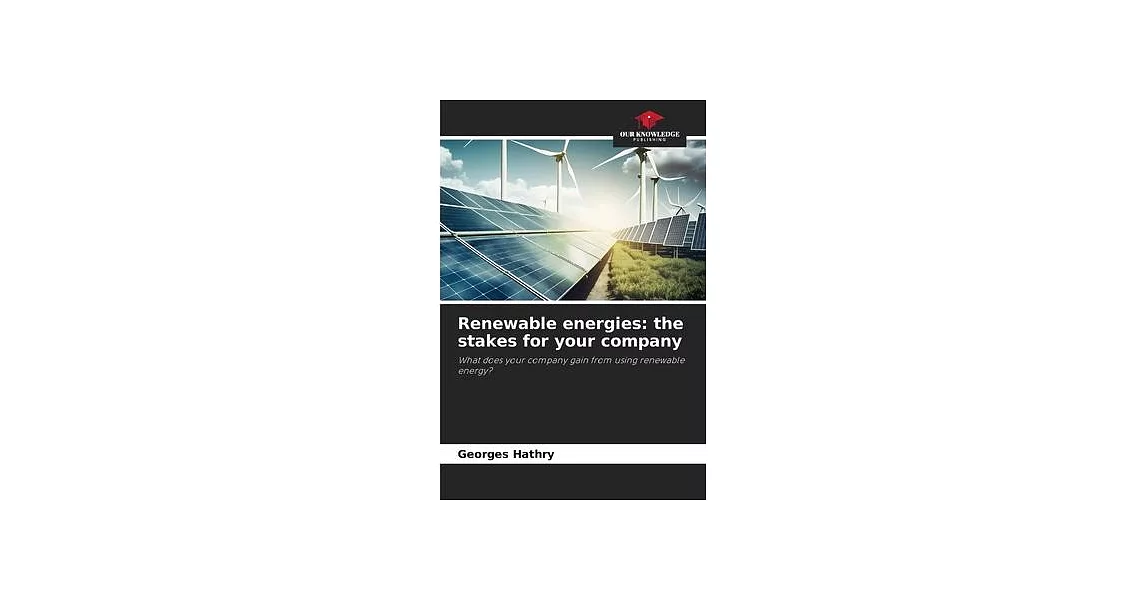 Renewable energies: the stakes for your company | 拾書所