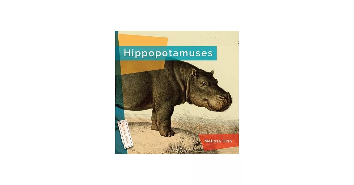 Hippopotamuses | 拾書所