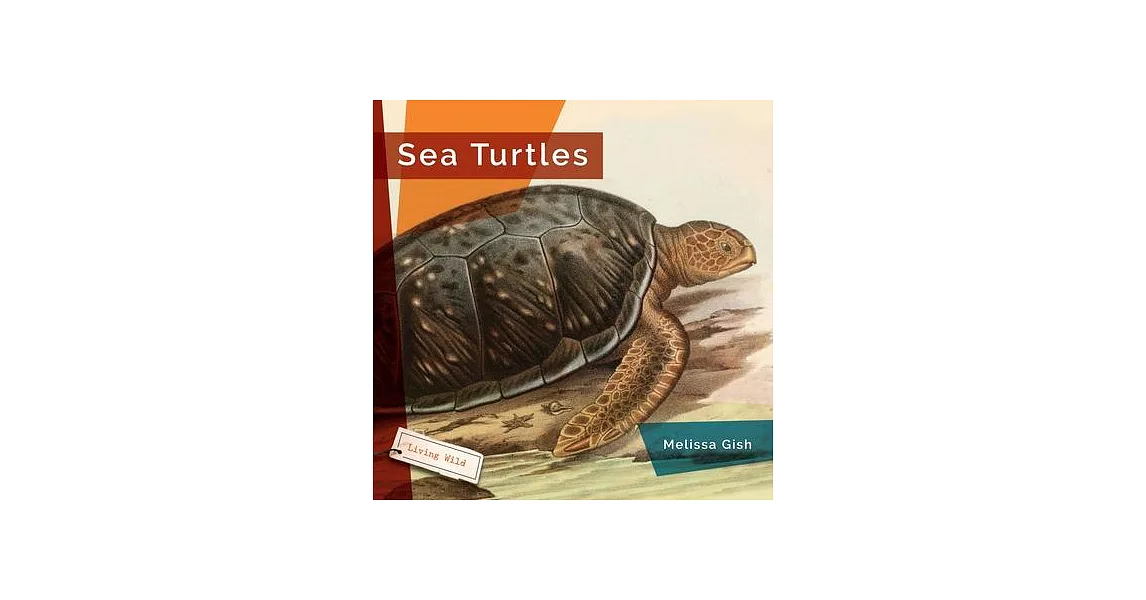 Sea Turtles | 拾書所