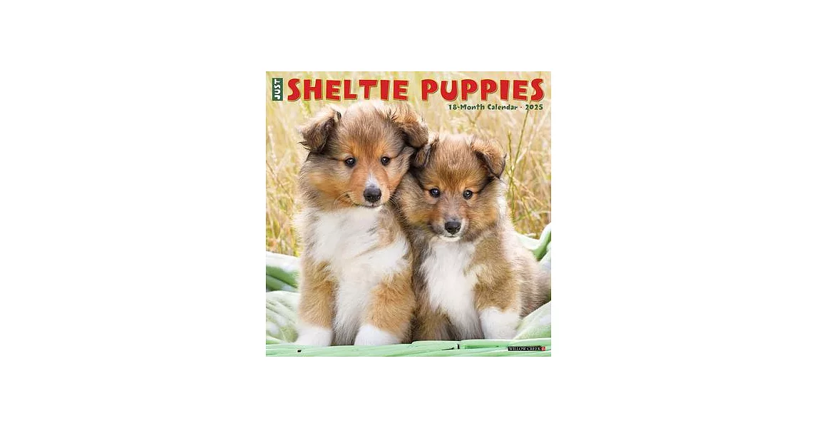 博客來Just Sheltie Puppies 2025 12 X 12 Wall Calendar