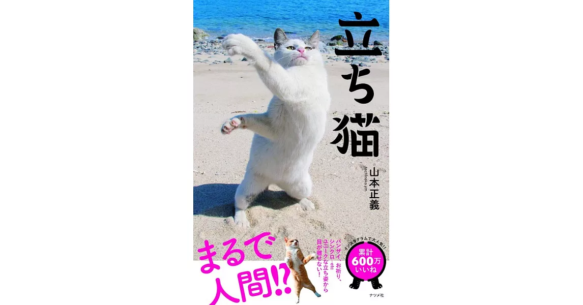 山本正義趣味站立貓咪攝影寫真手冊 | 拾書所