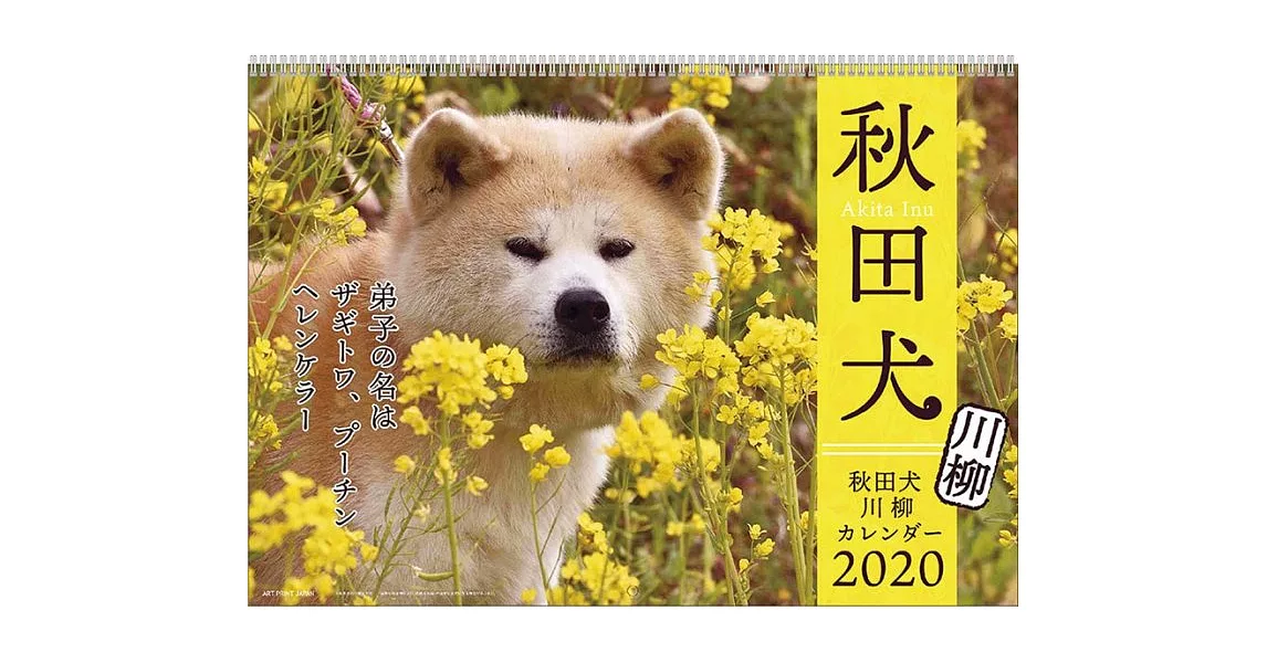 秋田犬2020年掛曆 | 拾書所