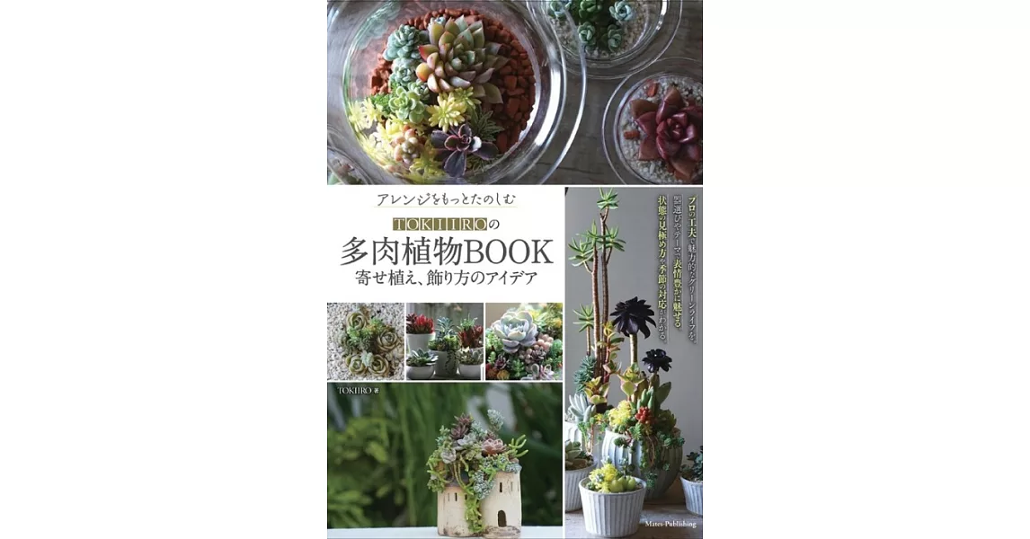アレンジをもっとたのしむ TOKIIROの多肉植物BOOK 寄せ植え、飾り方のアイデア | 拾書所