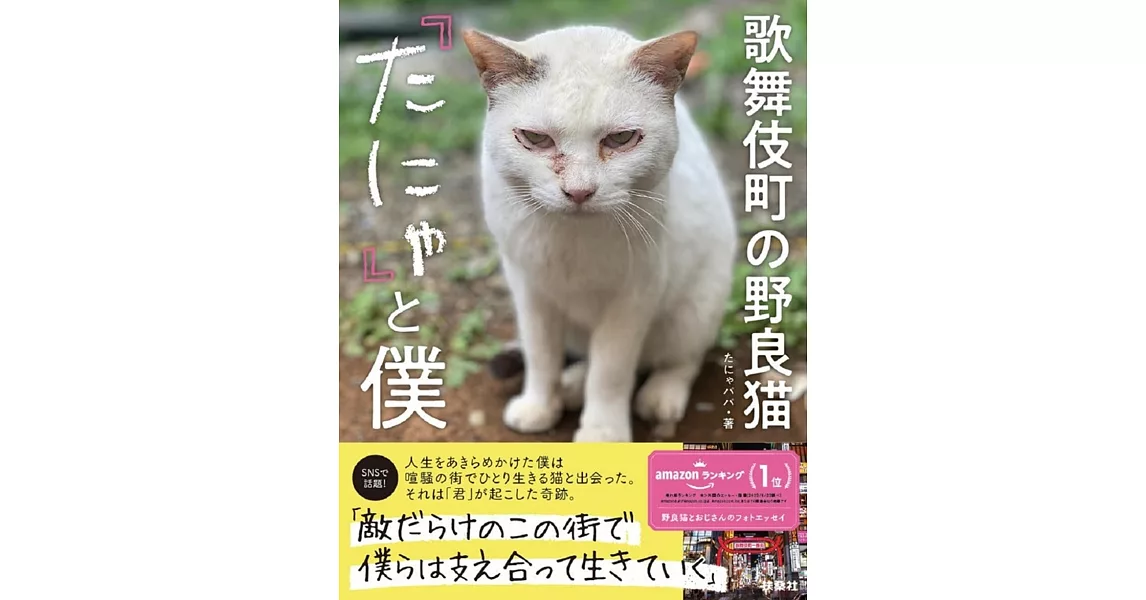 歌舞伎町の野良猫「たにゃ」と僕 | 拾書所