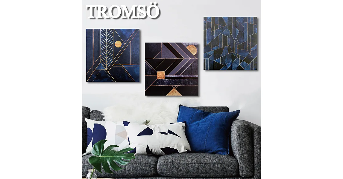 TROMSO時尚無框畫/古龍藍調