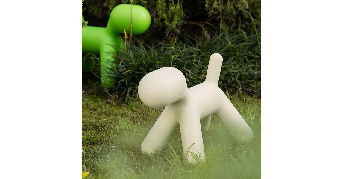 Puppy（霧白小型犬）