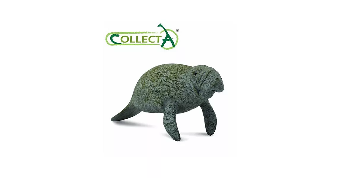【CollectA】海洋系列 - 海牛