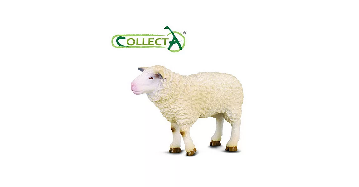 【CollectA】綿羊