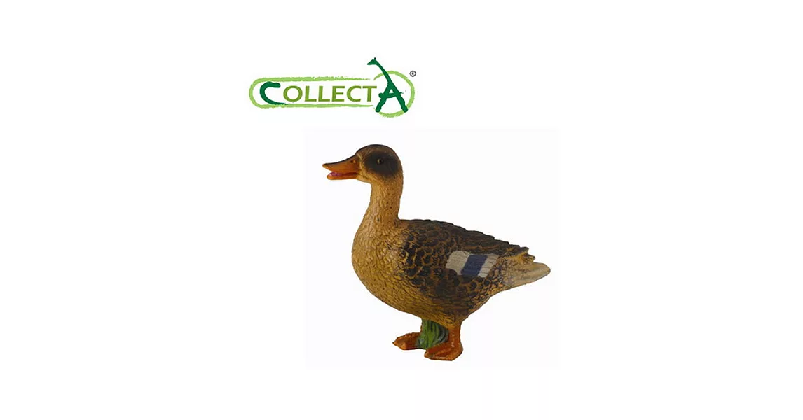 【CollectA】綠頭鴨 ( 雌 )
