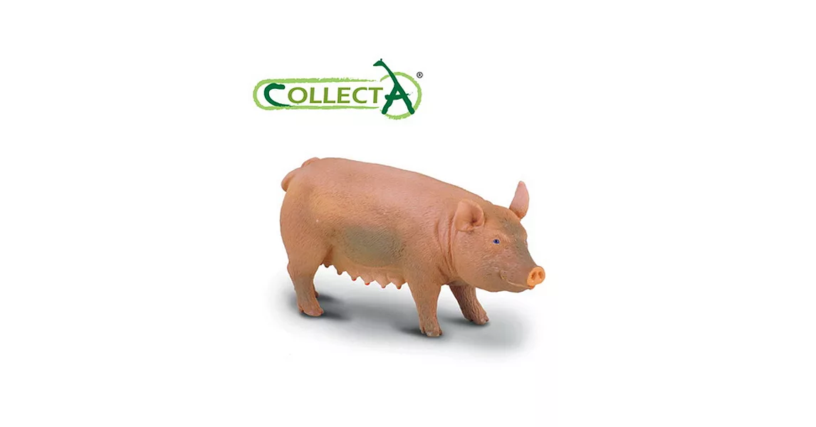 【CollectA】母豬