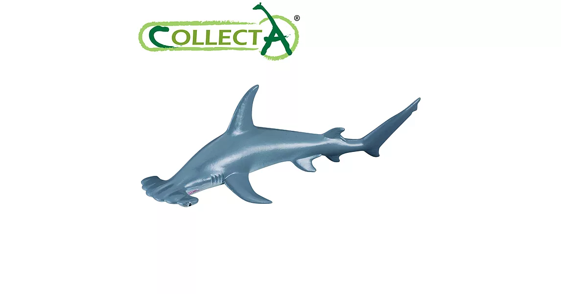 【CollectA】海洋系列 - 鎚頭鯊