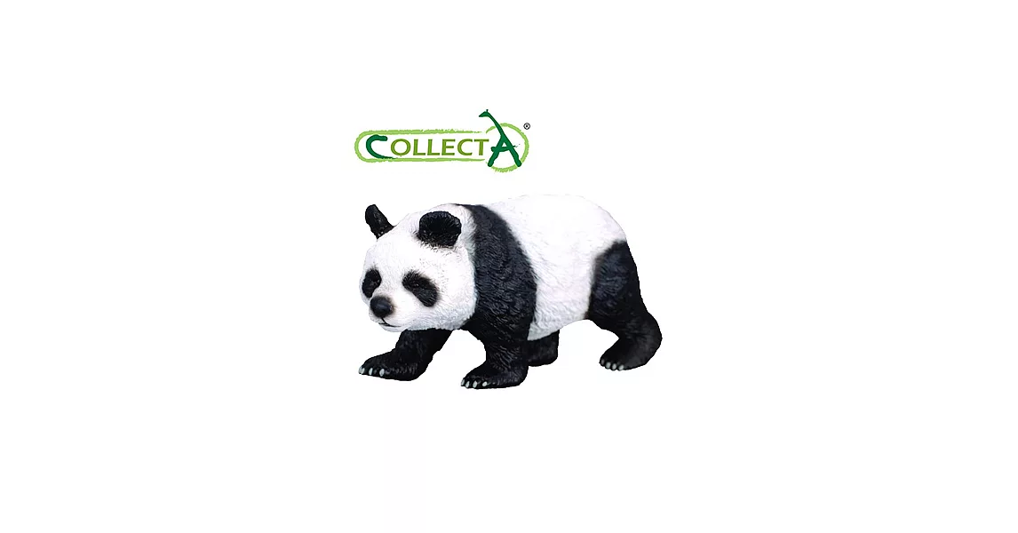 【CollectA】大熊貓