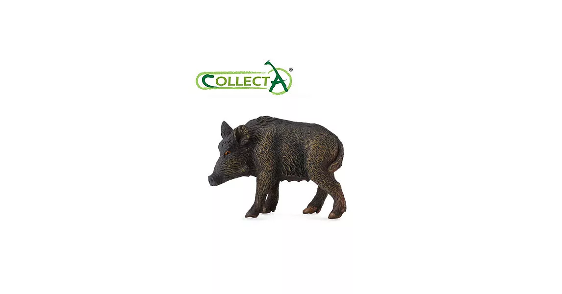 【CollectA】母野豬