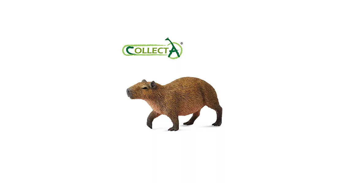 【CollectA】水豚