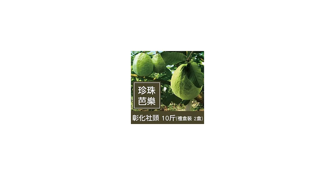 一籃子彰化社頭【珍珠芭樂】10斤禮盒裝