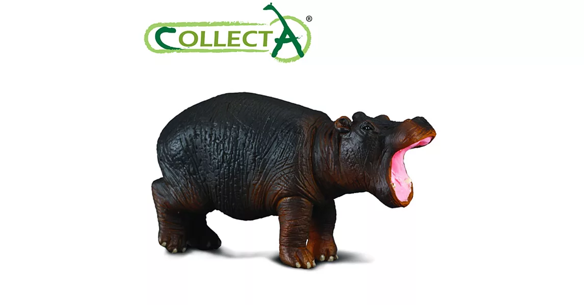 【CollectA】小河馬