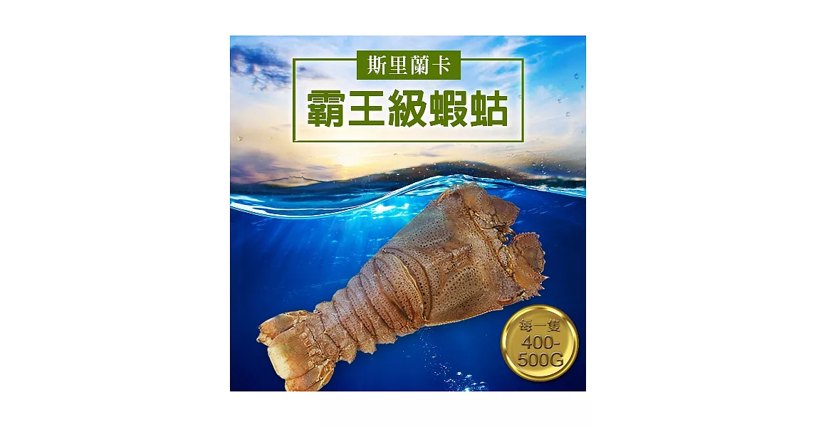 【優鮮配】斯里蘭卡巨無霸蝦蛄(約400g/隻)