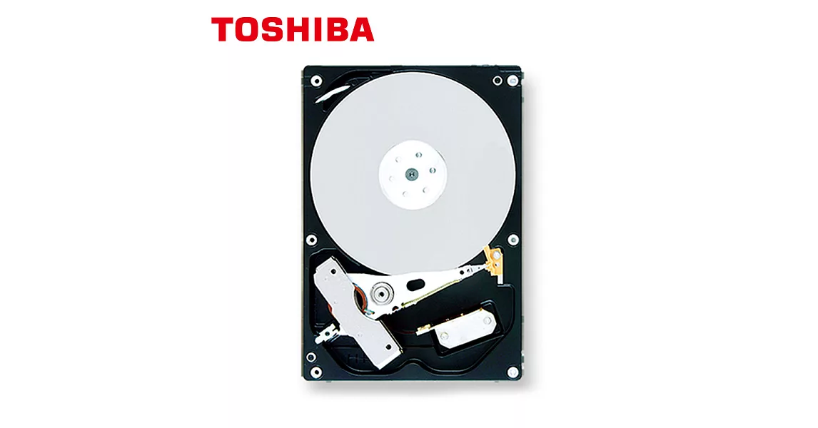 TOSHIBA東芝 1TB 3.5吋 SATA3 AV 影音監控專用內接硬碟(監控碟) (DT01ABA100V)