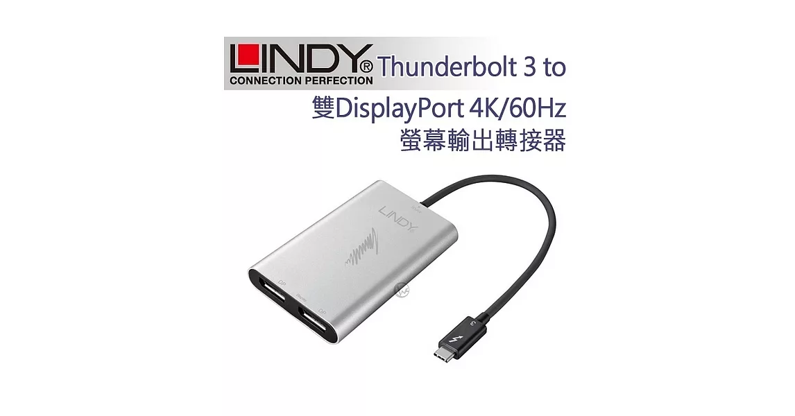 LINDY 林帝 Thunderbolt 3 to 雙DisplayPort 4K/60Hz螢幕輸出轉接器 (43901)