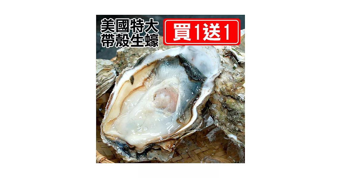 買1送1組【優鮮配】美國特大帶殼生蠔1顆(250-350g/顆)-任選