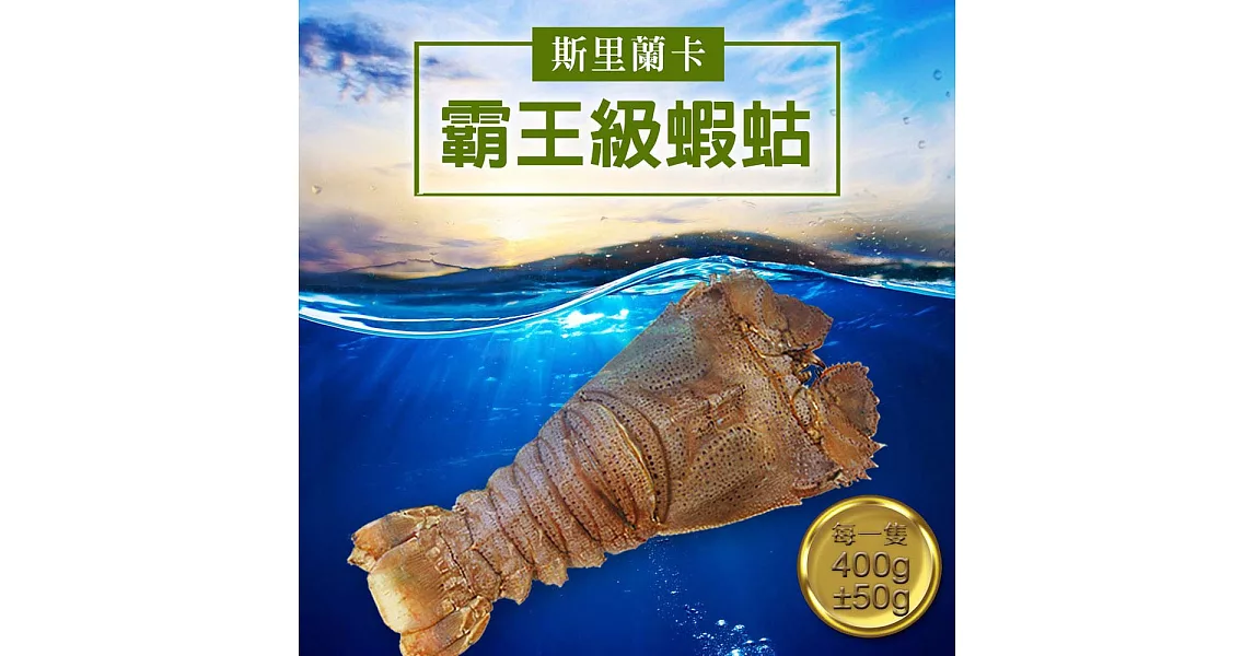 【優鮮配】巨無霸斯里蘭卡頂級蝦蛄3隻(400g/隻)免運組