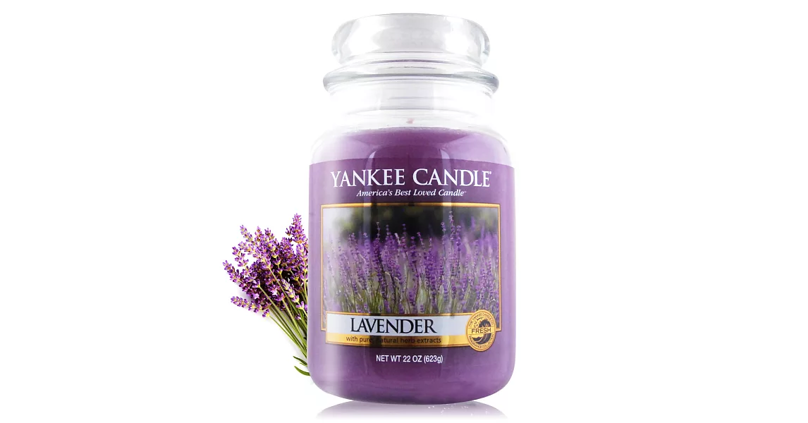 YANKEE CANDLE 香氛蠟燭 (623g)-多款任選 _薰衣草