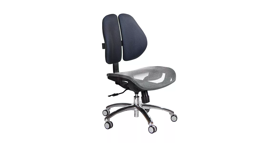 GXG 低雙背網座 電腦椅 (鋁腳/無扶手)  TW-2803 LUNH 請備註顏色與規格