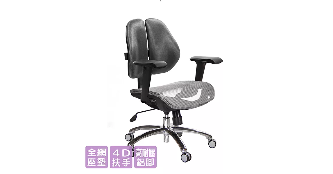 GXG 短背網座 雙背椅 (4D升降扶手)  TW-2801 LU3請備註顏色