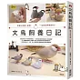 文鳥飼養日記：照顧ｘ教養ｘ遊戲，一起度過親親時光！
