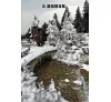 https://im1.book.com.tw/image/getImage?i=https://www.books.com.tw/img/001/071/41/0010714174_b_08.jpg&v=571f5f6dk&w=655&h=609