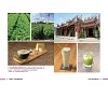 https://im1.book.com.tw/image/getImage?i=https://www.books.com.tw/img/001/073/75/0010737564_b_04.jpg&v=584009dak&w=655&h=609