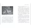 https://im1.book.com.tw/image/getImage?i=https://www.books.com.tw/img/001/086/69/0010866916_b_06.jpg&v=5f2a8a6ck&w=655&h=609