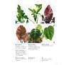 https://im1.book.com.tw/image/getImage?i=https://www.books.com.tw/img/001/088/15/0010881535_b_06.jpg&v=6007af06k&w=655&h=609