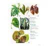 https://im1.book.com.tw/image/getImage?i=https://www.books.com.tw/img/001/088/15/0010881535_b_08.jpg&v=6007af06k&w=655&h=609
