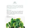 https://im1.book.com.tw/image/getImage?i=https://www.books.com.tw/img/001/088/15/0010881535_b_10.jpg&v=6007af04k&w=655&h=609