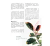 https://im1.book.com.tw/image/getImage?i=https://www.books.com.tw/img/001/088/15/0010881535_b_12.jpg&v=6007af05k&w=655&h=609