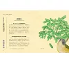 https://im1.book.com.tw/image/getImage?i=https://www.books.com.tw/img/001/099/59/0010995950_b_02.jpg&v=669a4ec8k&w=655&h=609