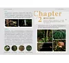 https://im1.book.com.tw/image/getImage?i=https://www.books.com.tw/img/001/100/89/0011008947_b_02.jpg&v=676cf569k&w=655&h=609