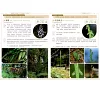 https://im1.book.com.tw/image/getImage?i=https://www.books.com.tw/img/001/100/89/0011008947_b_04.jpg&v=676cf569k&w=655&h=609