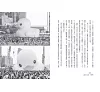 https://im1.book.com.tw/image/getImage?i=https://www.books.com.tw/img/001/101/10/0011011075_b_08.jpg&v=677bbecfk&w=655&h=609