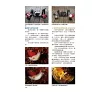 https://im1.book.com.tw/image/getImage?i=https://www.books.com.tw/img/001/101/11/0011011117_b_08.jpg&v=6784f95bk&w=655&h=609