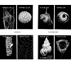 https://im1.book.com.tw/image/getImage?i=https://www.books.com.tw/img/001/101/51/0011015153_b_08.jpg&v=67b5c1b1k&w=655&h=609