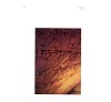 https://im1.book.com.tw/image/getImage?i=https://www.books.com.tw/img/CN1/144/36/CN11443658_b_02.jpg&v=598a21aak&w=655&h=609