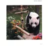 https://im1.book.com.tw/image/getImage?i=https://www.books.com.tw/img/CN1/199/76/CN11997658_b_08.jpg&v=66d622f7k&w=655&h=609