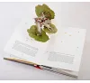 https://im1.book.com.tw/image/getImage?i=https://www.books.com.tw/img/F01/356/54/F013565412_b_02.jpg&v=57529fc8k&w=655&h=609