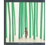 https://im1.book.com.tw/image/getImage?i=https://www.books.com.tw/img/M01/009/95/M010099547_b_38.jpg&v=5dee225ck&w=655&h=609