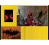 https://im1.book.com.tw/image/getImage?i=https://www.books.com.tw/img/R03/010/03/R030100331_b_10.jpg&v=678a0700k&w=655&h=609