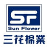 Sun Flower