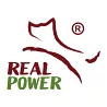 Real Power 瑞威